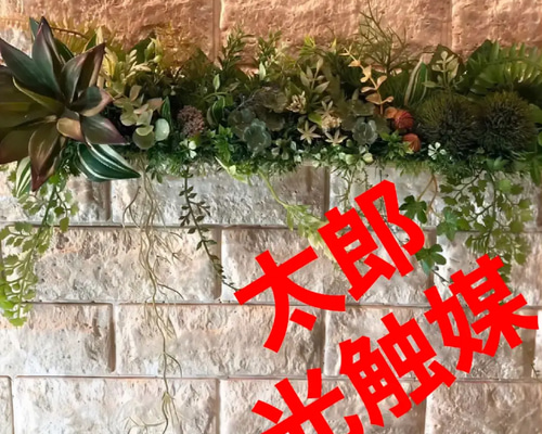 光触媒　人工観葉植物　ウォールグリーン　フェイクグリーン　壁掛け405558 光触媒 人工観葉植物 ウォールグリーン フェイクグリーン 壁掛け