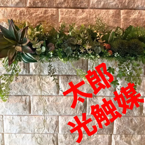 光触媒　人工観葉植物　ウォールグリーン　フェイクグリーン　壁掛け405558 光触媒 人工観葉植物 ウォールグリーン フェイクグリーン 壁掛け
