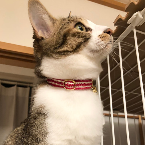 ぶんちゃん、和風リボン(ブルー①)わんちゃん猫ちゃん用首輪 猫ちゃん用首輪☆和花柄 和風 安全バックルタイプ セーフティ