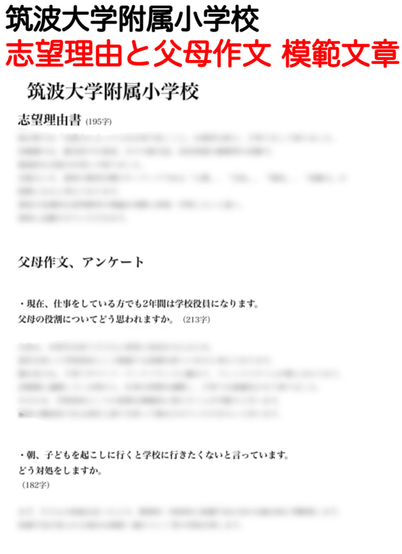 小学校受験　お受験　モンテッソーリ　筑波大学附属小学校 過去問 願書 東京学芸大学附属小学校 稲花 お茶の水大学附属 5枚目の画像