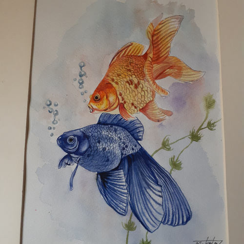 水彩画 金魚 絵画 makochin 通販 16309195|Creema(クリーマ) 水彩画 金魚 絵画 makochin 通販 16309195|Creema(クリーマ)