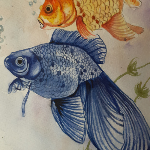 水彩画 金魚 絵画 makochin 通販 16309195|Creema(クリーマ) 水彩画 金魚 絵画 makochin 通販 16309195|Creema(クリーマ)