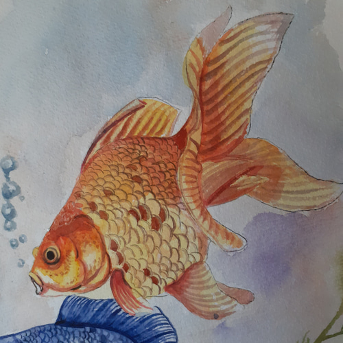 水彩画 金魚 絵画 makochin 通販 16309195|Creema(クリーマ) 水彩画 金魚 絵画 makochin 通販 16309195|Creema(クリーマ)