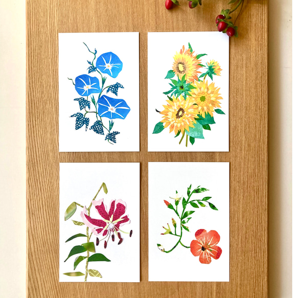 8月頃の花ポストカードセット 明信片 tomocollage 的作品