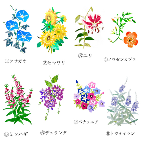 8月頃の花ポストカードセット ポストカード tomocollage 通販