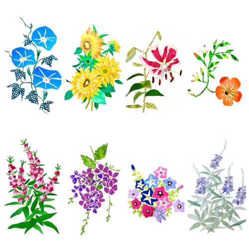 8月頃の花ポストカードセット ポストカード tomocollage 通販 8月頃の花ポストカードセット ポストカード tomocollage 通販