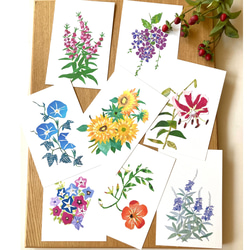 8月頃の花ポストカードセット ポストカード tomocollage 通販 8月頃の花ポストカードセット ポストカード tomocollage 通販