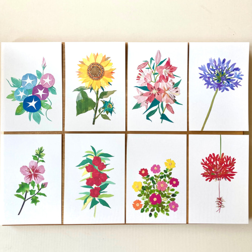 7月頃の花ポストカードセット ポストカード tomocollage 通販