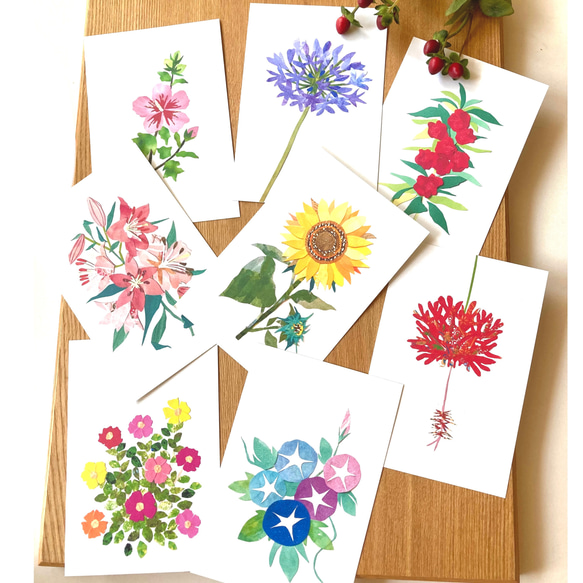 7月頃の花ポストカードセット 明信片 tomocollage 的作品