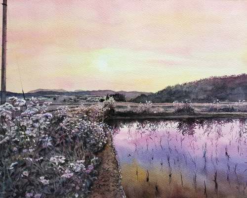 水彩画　花 水彩 #水彩画 #透明水彩 #透明水彩画 #風景画 #ばらの花 #薔薇