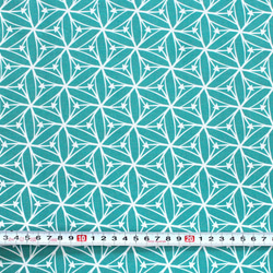 カットクロス Cloud9 Fabrics / Blast Off 227347 Stargazer Aqua 3枚目の画像