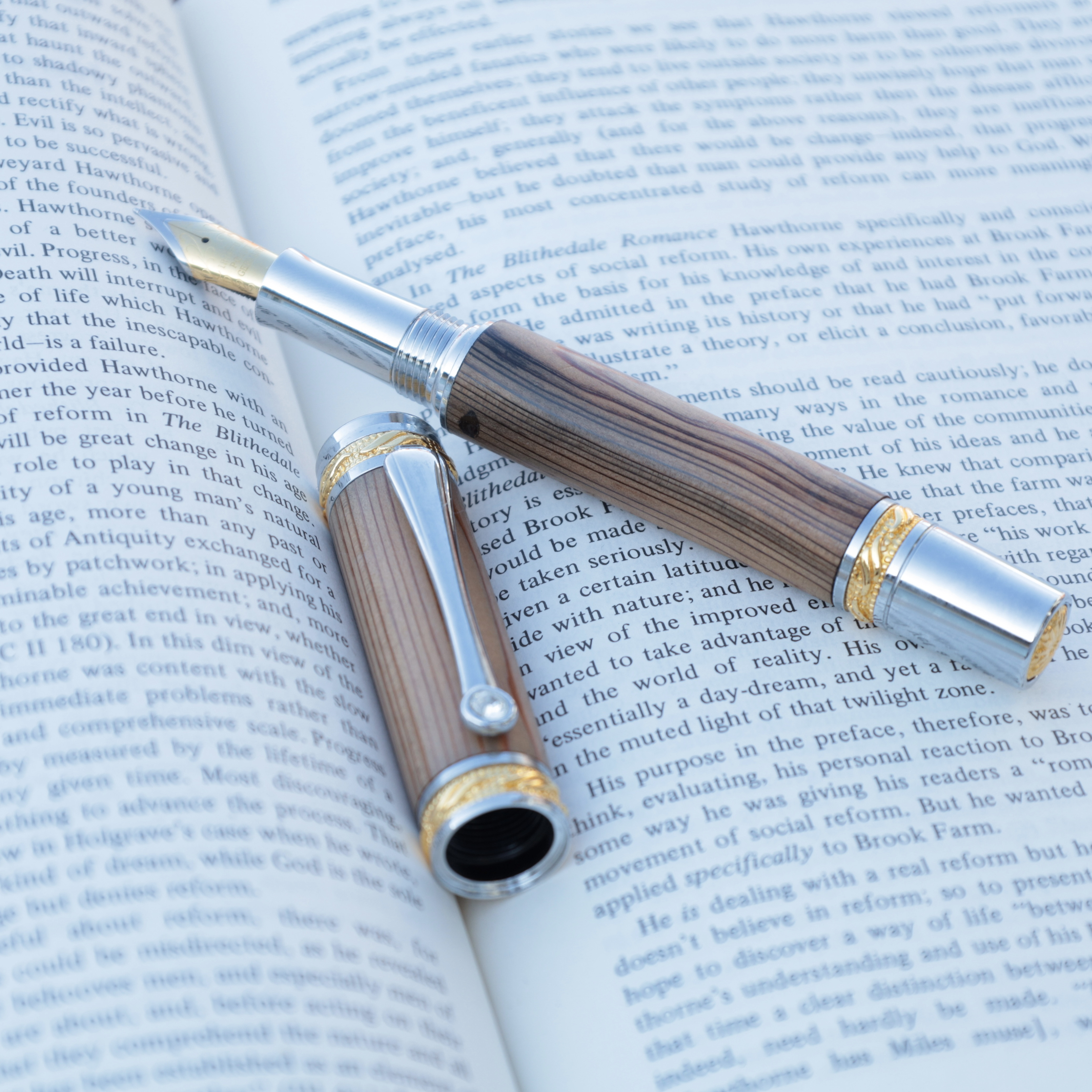 【世界に1本だけ】長寿の木・屋久杉の万年筆　c1072