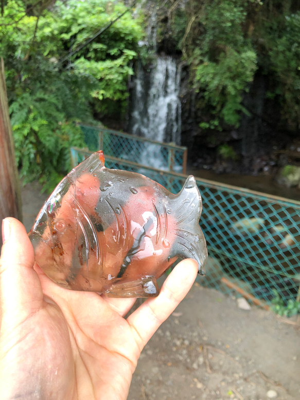 虹入り！アイリススモーキークォーツフィッシュ！立置きできます☆174g☆100mm ☆瀧川神社にて浄化済み☆ 2枚目の画像