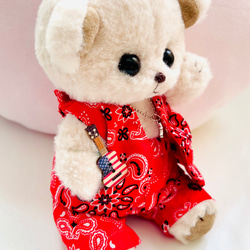 『baby bear』BEBU (くまの赤ちゃんぬいぐるみ)お洋服付 1枚目の画像