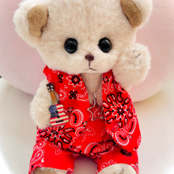 『baby bear』BEBU (くまの赤ちゃんぬいぐるみ)お洋服付 2枚目の画像