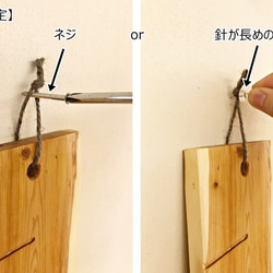 【木の身長計　耳付き材】かつら／N-SIN-KAT-05　お子さまの成長を見守る 9枚目の画像