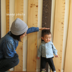 【木の身長計　耳付き材】かつら／N-SIN-KAT-05　お子さまの成長を見守る 1枚目の画像