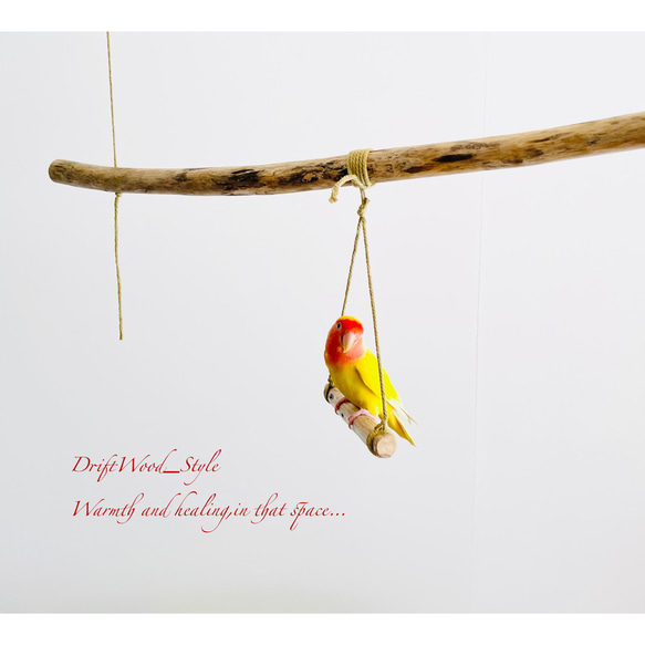 流木インテリア  シンプルな天然流木の小鳥の止まり木 吊り下げタイプ インコ 鳥 ブランコ 自然木 No.16 5枚目の画像