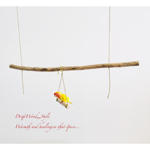流木インテリア  シンプルな天然流木の小鳥の止まり木 吊り下げタイプ インコ 鳥 ブランコ 自然木 No.16 3枚目の画像