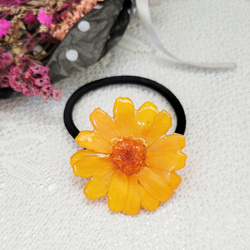 新作☆レジンヘアゴム　Boo! 新作☆レジンヘアゴム Boo!