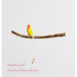 流木インテリア  シンプルな天然流木の小鳥の止まり木 吊り下げタイプ インコ 鳥 ブランコ 自然木 No.17 1枚目の画像