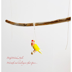 流木インテリア  シンプルな天然流木の小鳥の止まり木 吊り下げタイプ インコ 鳥 ブランコ 自然木 No.17 4枚目の画像
