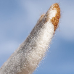 情人節禮物 聖誕交換禮物 森林系羊毛氈杯墊 動物杯墊-貓咪吸水墊 聖誕節交換禮物 父親節禮物 好友生日禮物 母親節禮物 第11張的照片