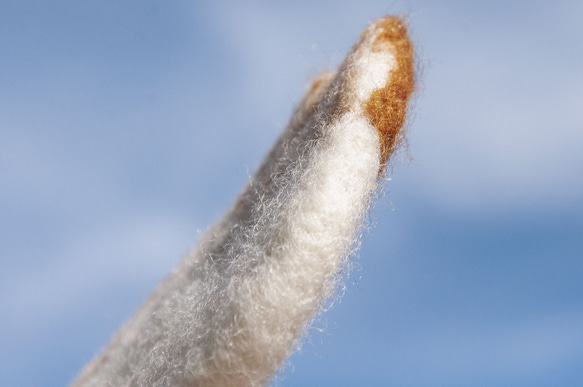 情人節禮物 聖誕交換禮物 森林系羊毛氈杯墊 動物杯墊-貓咪吸水墊 聖誕節交換禮物 父親節禮物 好友生日禮物 母親節禮物 第11張的照片