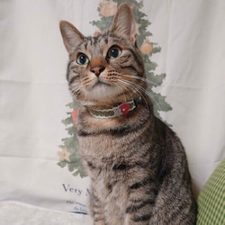 ハート　フリル　猫さんにやさしい首輪【かぎ針編み　猫の首輪　猫　首輪　セーフティバックル　アジャスター　リネン　軽い】 7枚目の画像