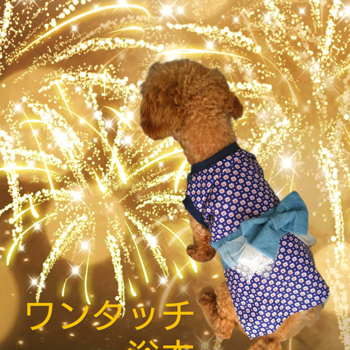 M 犬服 ワンタッチ 浴衣 花柄 コットン 綿 トイプードル