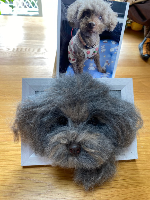 愛犬ちゃんのそっくりなリアルなペット人形をお作りします！　羊毛フェルト　犬　オーダー　ぬいぐるみ　愛犬　　ペット　リアル 4枚目の画像