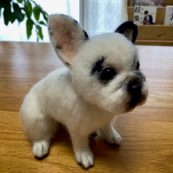 愛犬ちゃんのそっくりなリアルなペット人形をお作りします！　羊毛フェルト　犬　オーダー　ぬいぐるみ　愛犬　　ペット　リアル 8枚目の画像