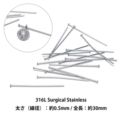 ess96 [約6g（約100個）] 約0.5 x 30mm T型針，醫用不鏽鋼，金屬配件 第1張的照片