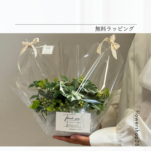 リラックス効果】グリーンバスケット フェイクグリーン 観葉植物 多肉