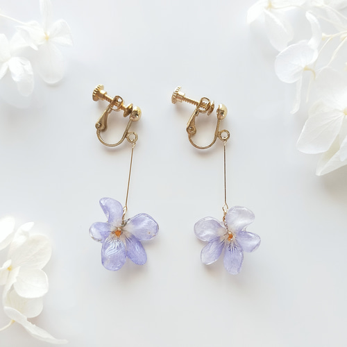 ワケありな逸品】【生花】本物のお花 小さな青スミレのドライ