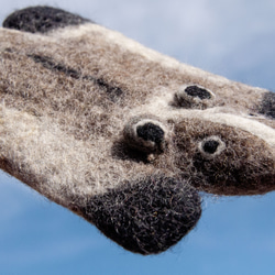 聖誕交換禮物 情人節禮物 森林系羊毛氈動物杯墊-白鼻心 果子狸 聖誕節交換禮物 父親節禮物 好友生日禮物 母親節禮物 第3張的照片