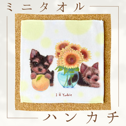 ポメラニアン】ハンカチタオルラッピング対応プレゼントにも♪ その他