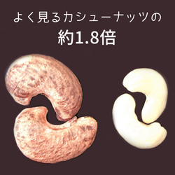 【送料無料】無添加・皮付きジャンボカシューナッツ 80g×3P 2枚目の画像