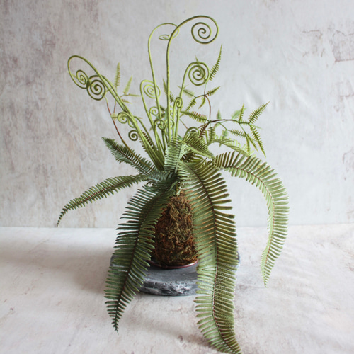 フェイクグリーン】大きなシダ植物の苔玉アレンジ【花器別売り