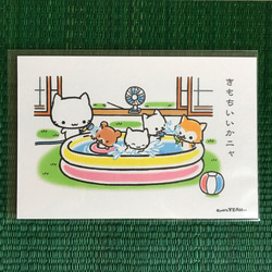 ミコちゃんのポストカード〜プール「きもちいいかニャ」 2枚目の画像