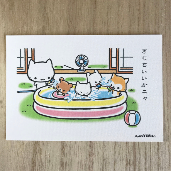 ミコちゃんのポストカード〜プール「きもちいいかニャ」 1枚目の画像