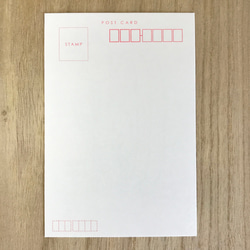 ミコちゃんのポストカード〜プール「きもちいいかニャ」 3枚目の画像