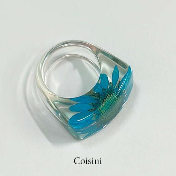 和風リング　ブルーデイジー指輪　クリアレジン指輪　透明感 ドライフラワーレジン指輪・リング　ドロップリング #CM009 5枚目の画像