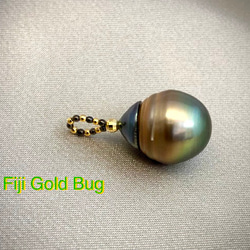 Fiji Gold Bug（フィジーゴールドバグ） 1枚目の画像