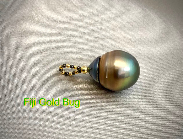 Fiji Gold Bug（フィジーゴールドバグ） 1枚目の画像