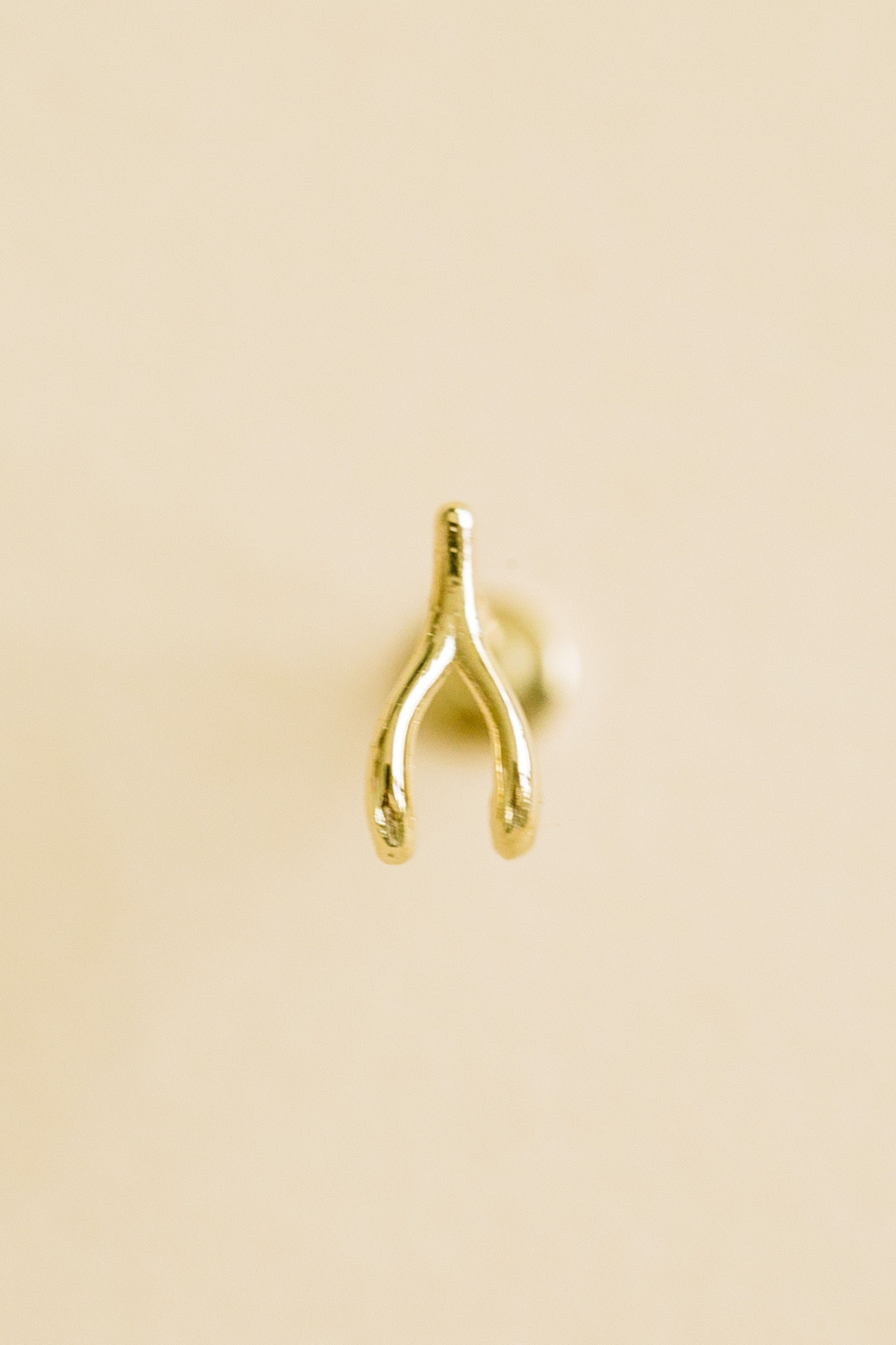 14K金 ゴールド ウウィッシュボーン ヘリックス 軟骨 アラガス インナーコンク イヤリング ピアス ラブレット