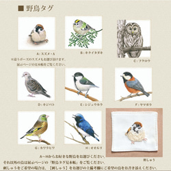 ホシガラスのL字形ミニ財布 (お好きな野鳥が選べます) 6枚目の画像