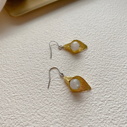 小海芋 -月光石 黃銅 不鏽鋼耳環-可改夾 第2張的照片