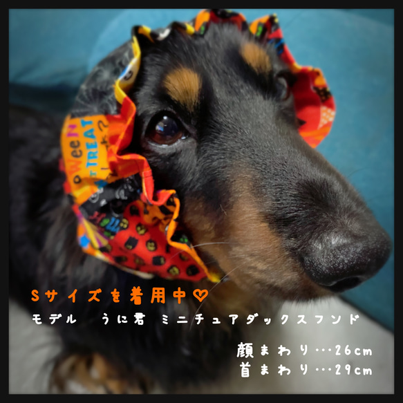 スヌード♡オレンジ ハロウィンパッチワーク柄 XS〜M 犬用 ドッグウェア ご飯時の汚れ防止などに♫ 5枚目の画像