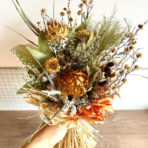 フォルモーサのおおきめブラウンスワッグ